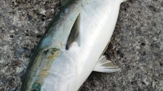 Thumbnail of post image 198